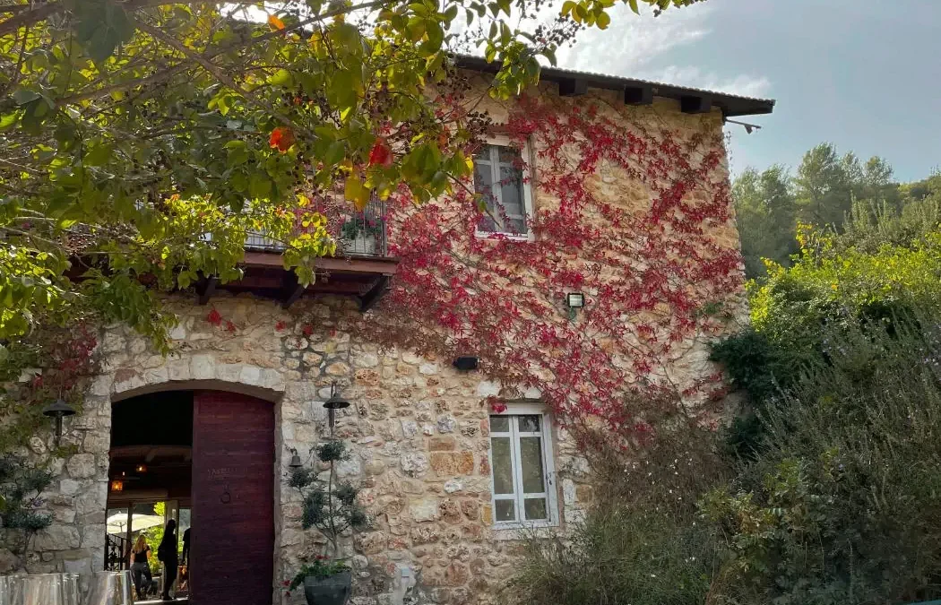 Why We Always Go Back to This One Winemaker in Burgundy