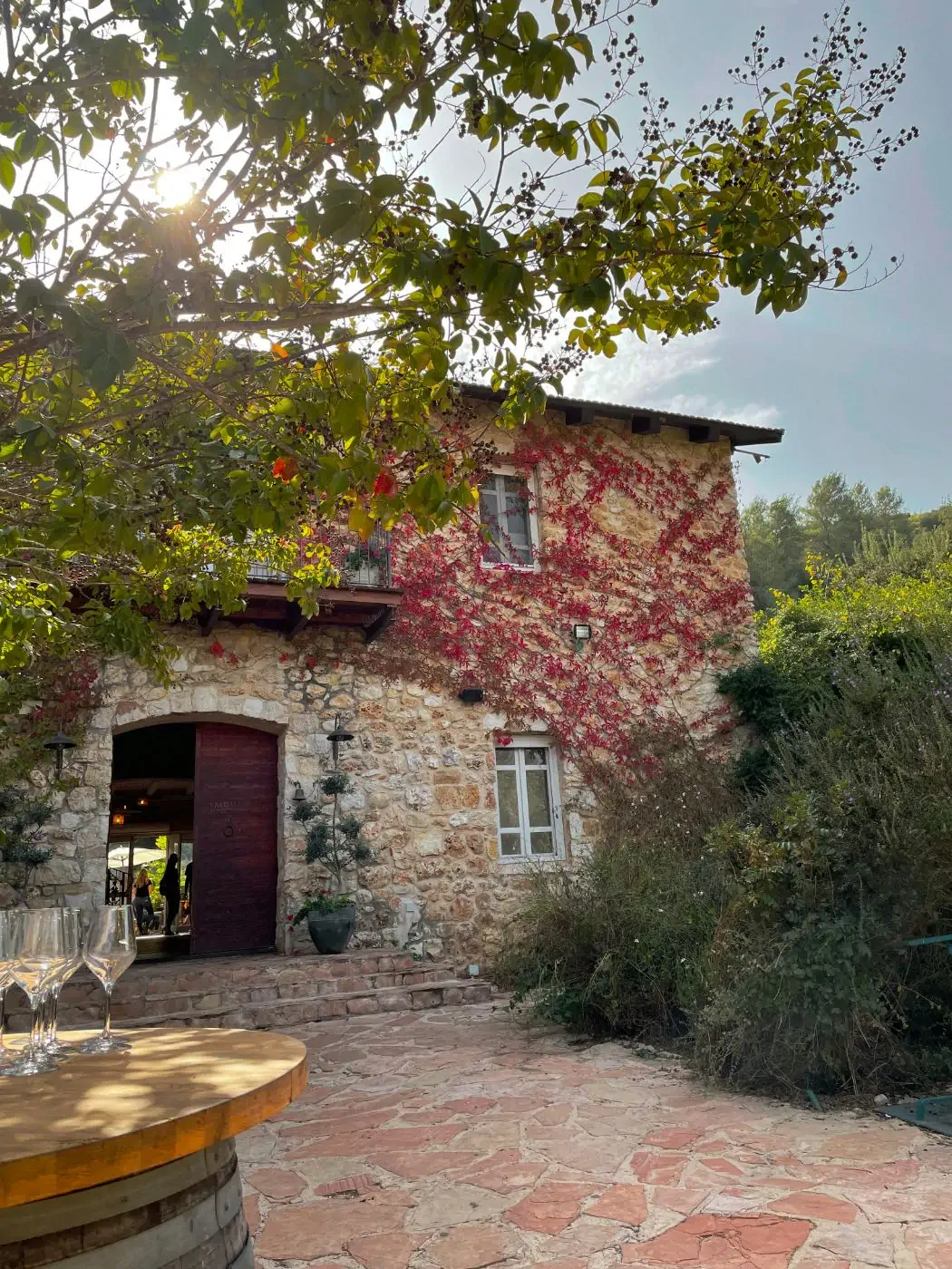 Why We Always Go Back to This One Winemaker in Burgundy